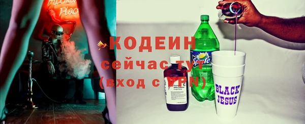 трава Корсаков