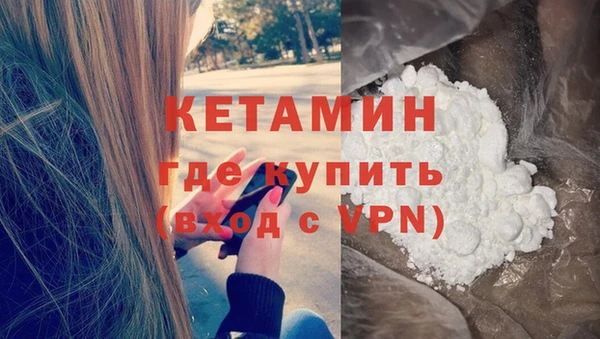 трава Корсаков