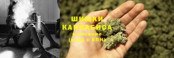 прущий лед Костерёво