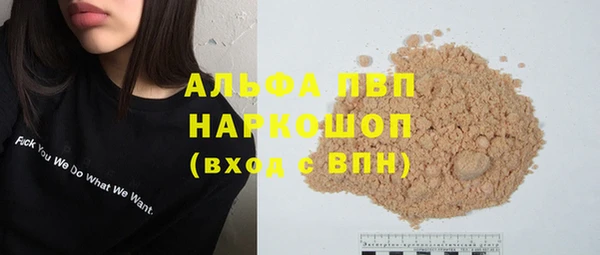 трава Корсаков