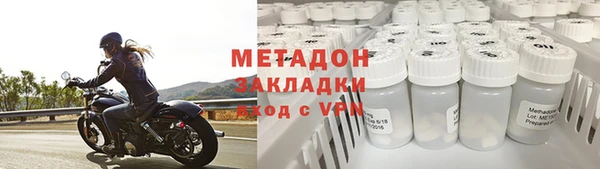трава Корсаков