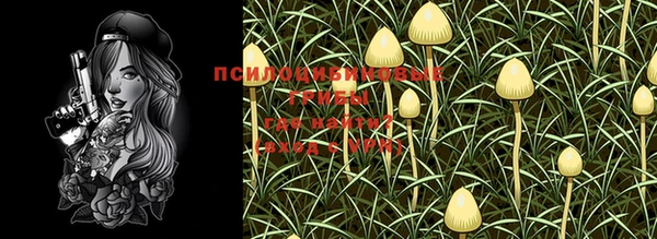 прущие крисы Коряжма