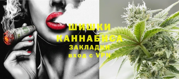 трава Корсаков