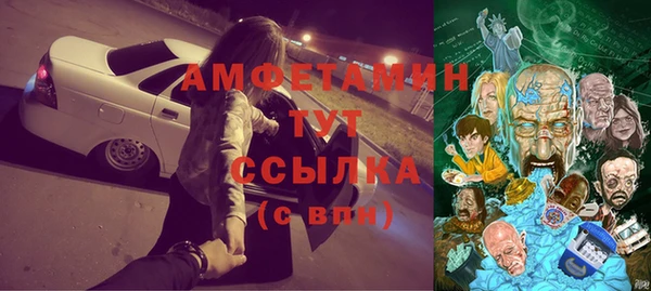 трава Корсаков