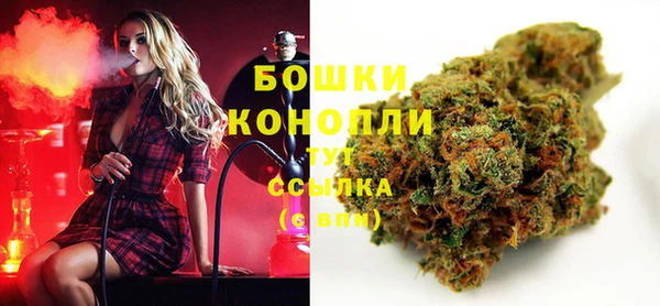 прущий лед Костерёво