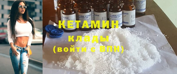 трава Корсаков