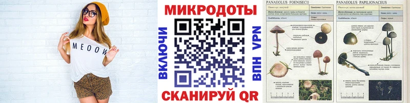 Купить где Бор Псилоцибиновые грибы Magic Shrooms